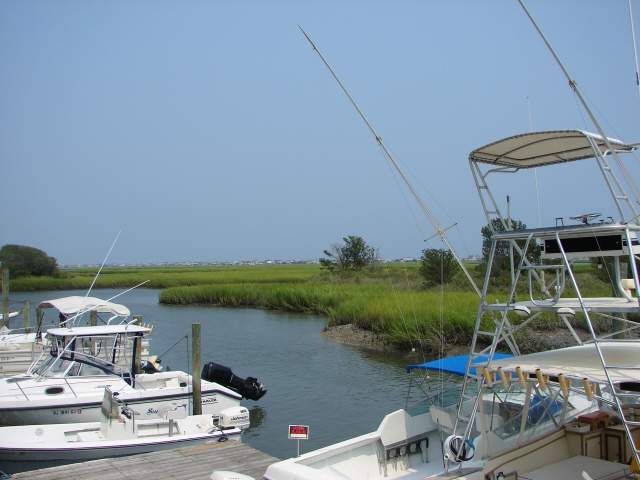 106 Coldstream Cove Loop, Unit 205 Murrells Inlet, SC 29576 - Photo 9 of 10 Gallery Image 9