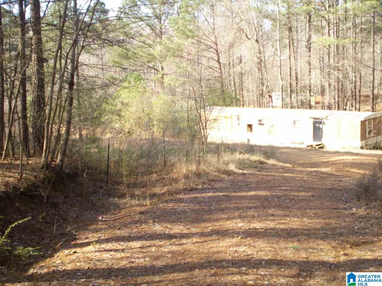 170 Pine Ridge Lane, Unit TRACT A Pell City, AL 35125 - Photo 9 of 15