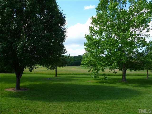 105 Circle B Farm Road Rougemont, NC 27572 - Photo 18 of 22 a grassy field with trees in the background