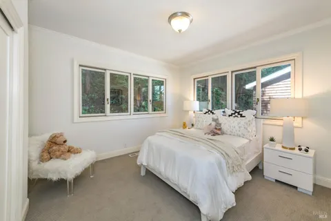 a view of a yard with a tree