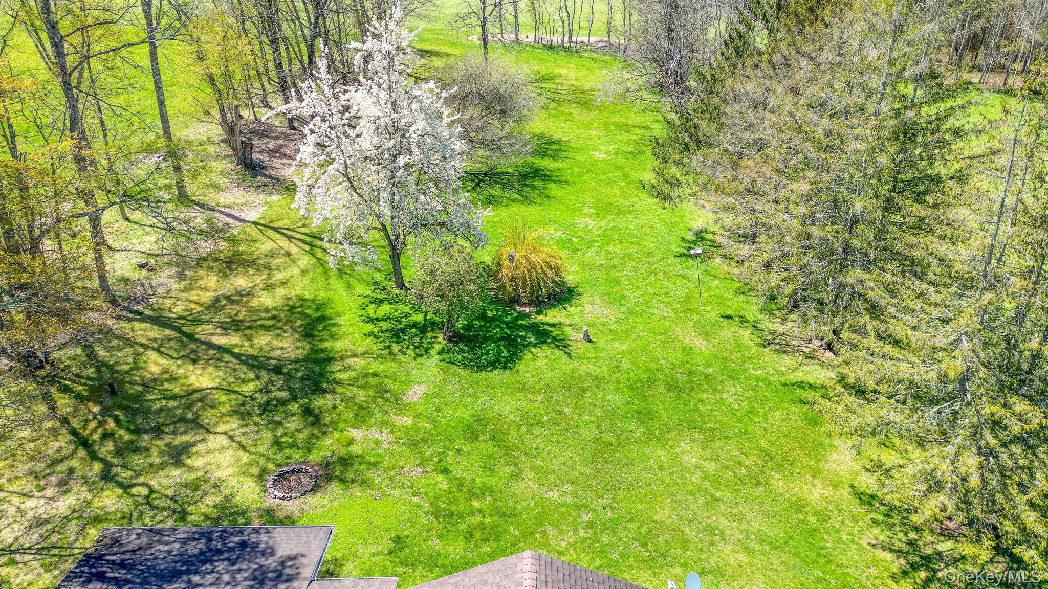 208 Shortcut Road Cochecton, NY 12726 - Photo 5 of 46 a view of a yard with plants