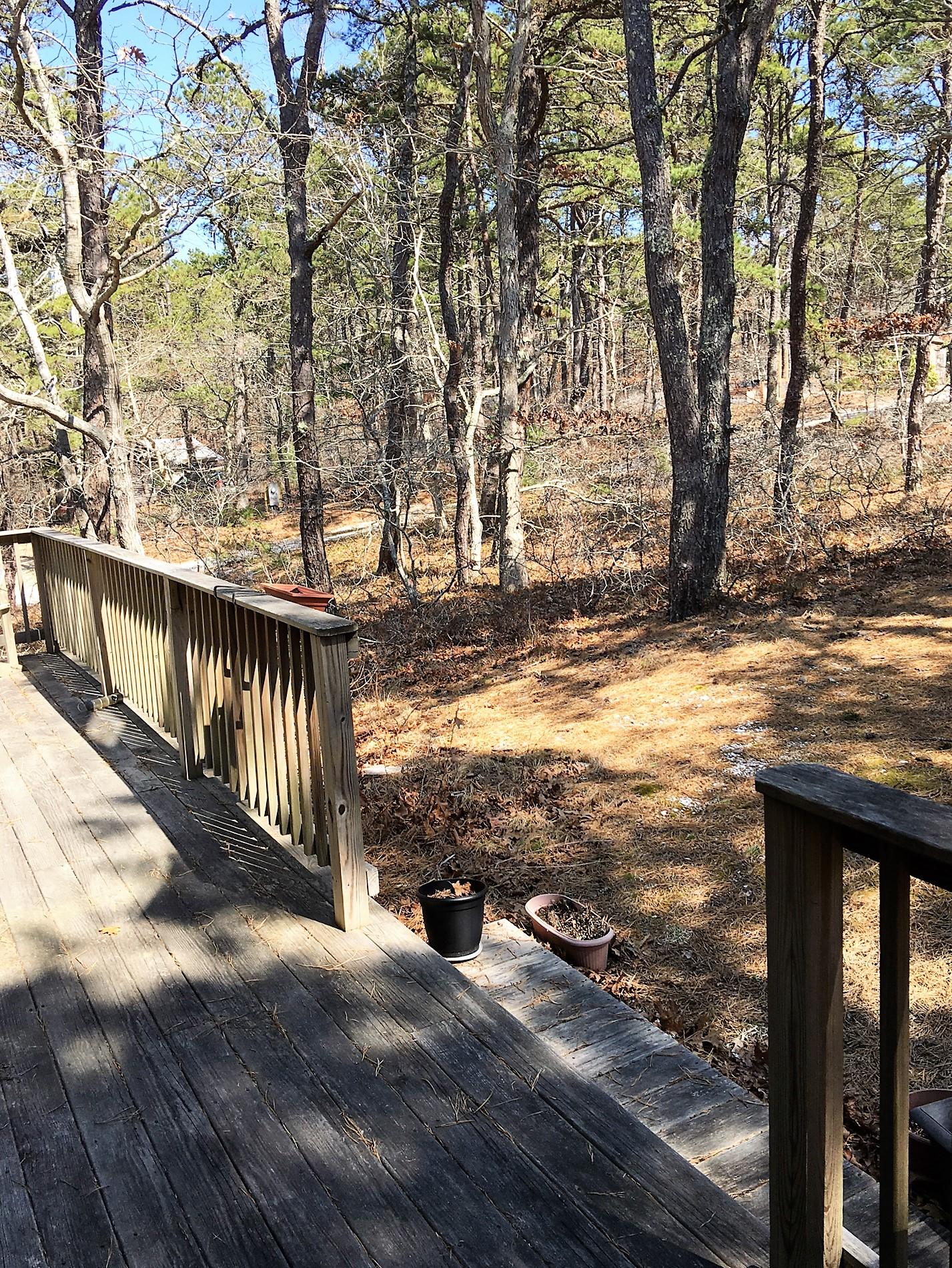10 Pine Valley Road Wellfleet, MA 02667 - Photo 24 of 27 a view of a pathway with a yard