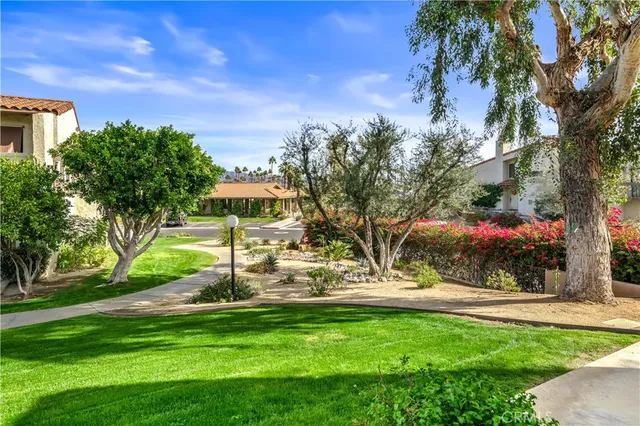 a view of a park with large trees