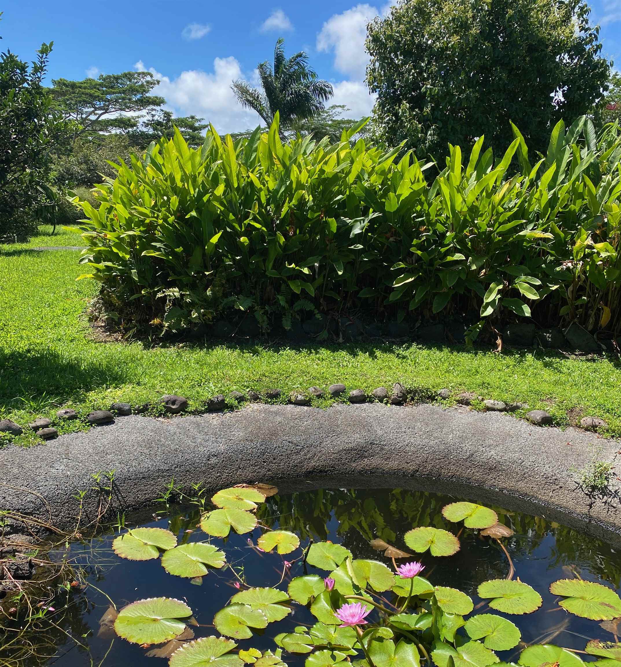51 West Waipio Road Haiku, HI 96708 - Photo 42 of 50
