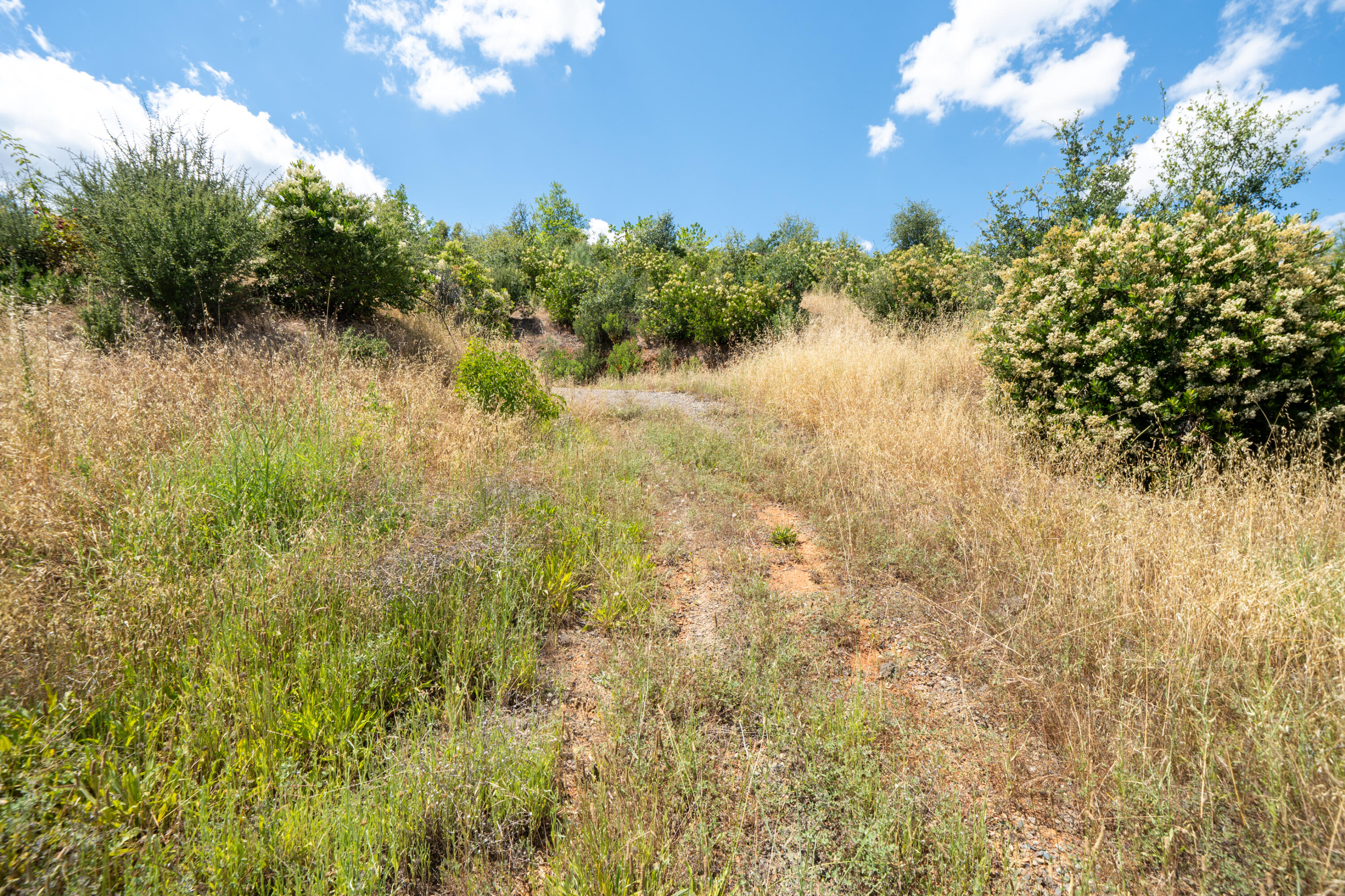 15882 Lower Springs Road Redding, CA 96001 - Photo 8 of 21 15882 Lower Springs Rd-6