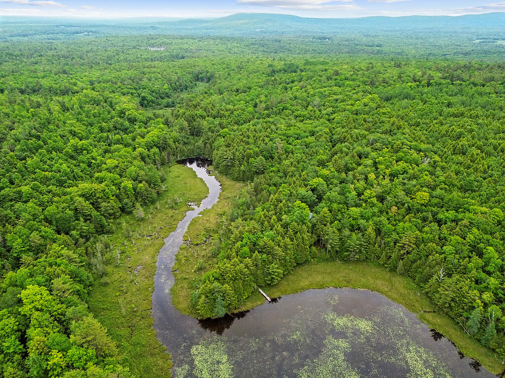 16 Judkins Road Harmony, ME 04942 - Photo 53 of 65 61_DJI_0297_DxO