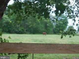 7916 Circle Road Whaleyville, MD 21872 - Photo 12 of 13 Gallery Image 12