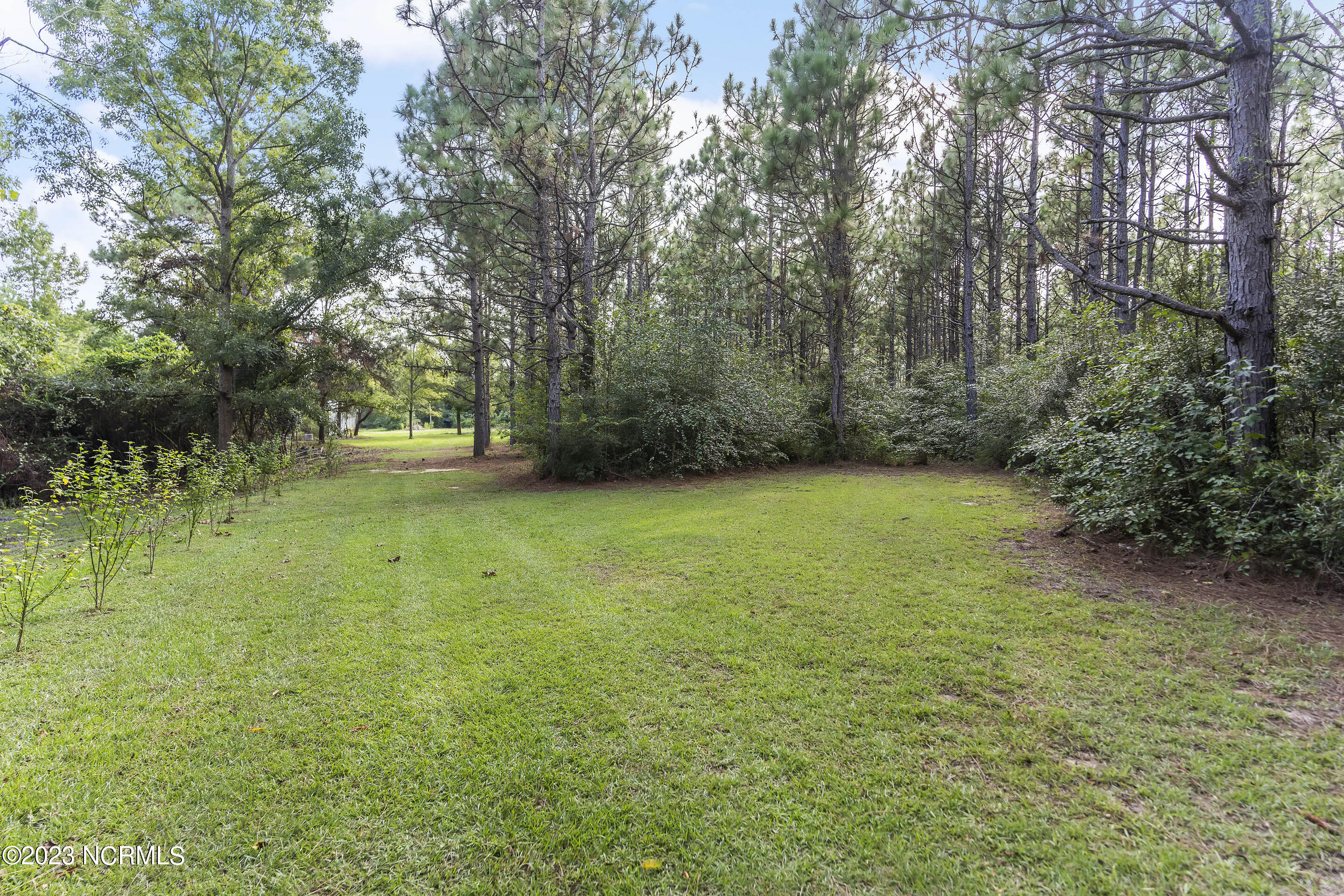 203 North Chubb Road Willard, NC 28478 - Photo 65 of 83 mls-DSC08816