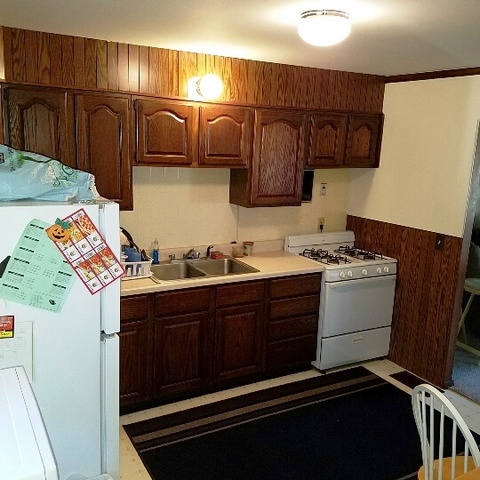 623 South 3rd Street Rochelle, IL 61068 - Photo 4 of 12 a utility room with cabinets
