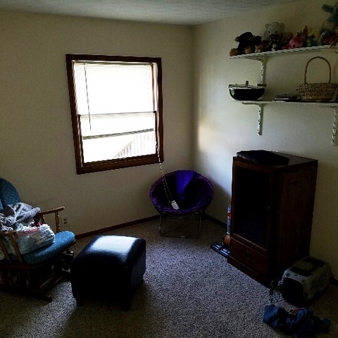 623 South 3rd Street Rochelle, IL 61068 - Photo 8 of 12 a living room with furniture and a window