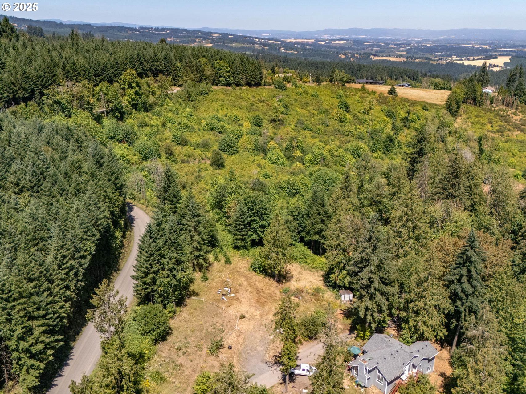 Southwest Jaquith Road Newberg, OR 97132 - Photo 4 of 8 a view of a forest with a lake