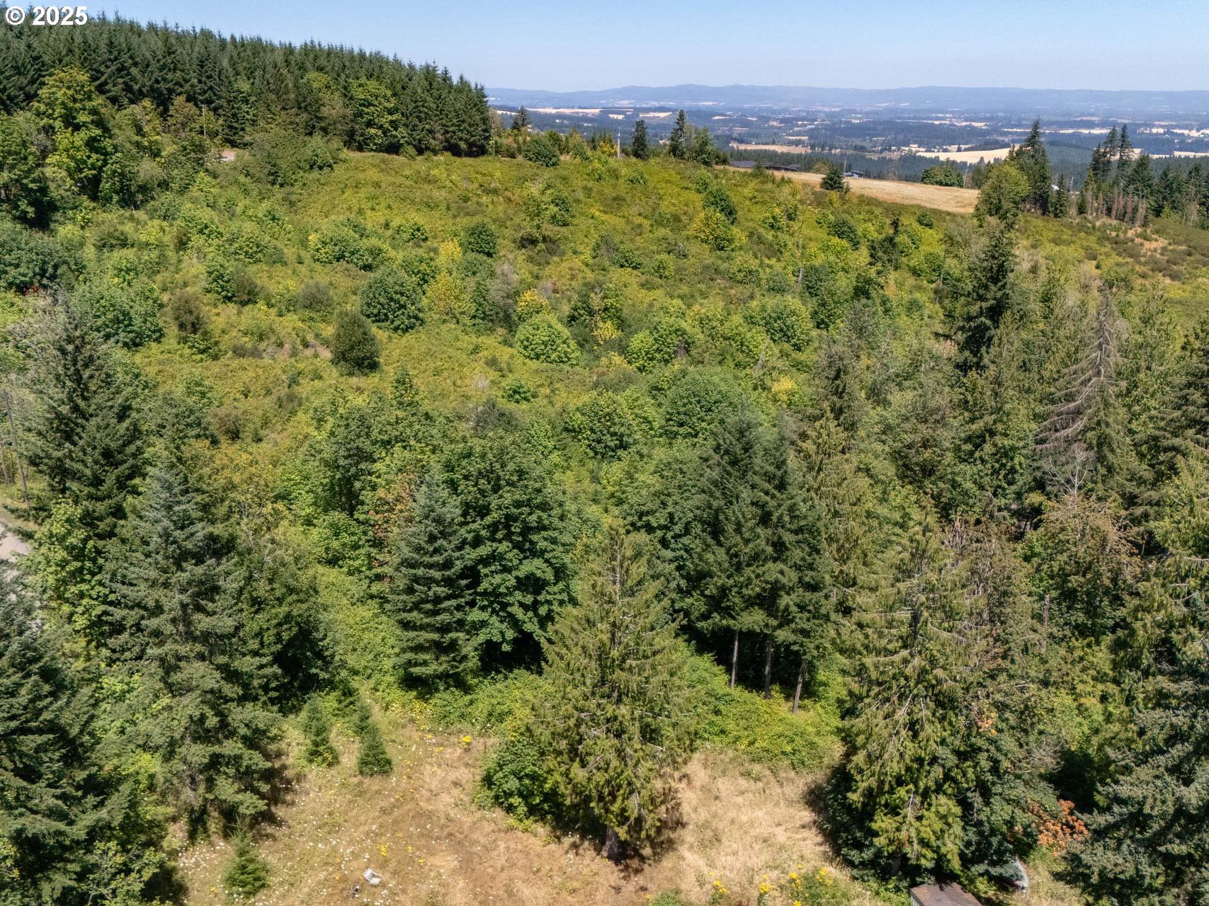 Southwest Jaquith Road Newberg, OR 97132 - Photo 5 of 8 a view of a forest with a building in the background