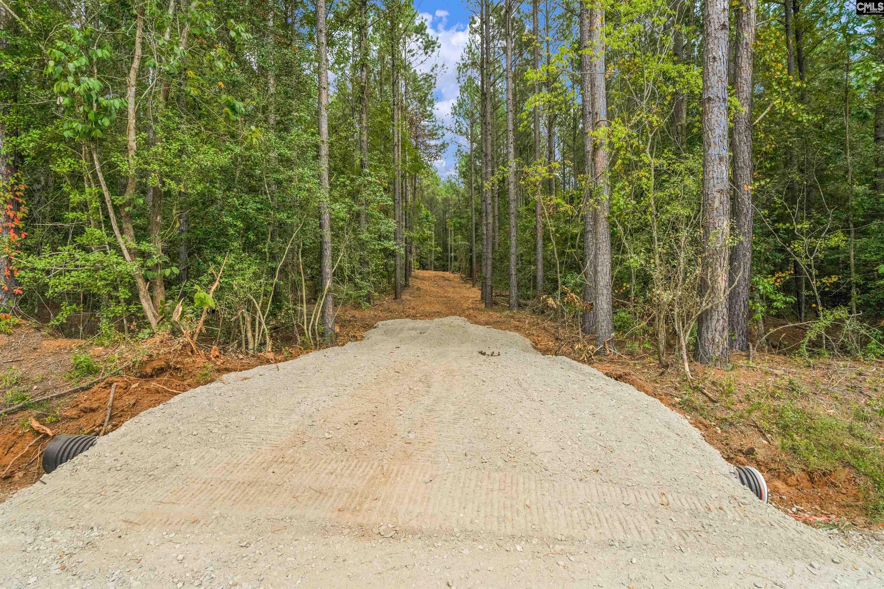 0 Penner Road, Unit 10 Jenkinsville, SC 29065 - Photo 29 of 43