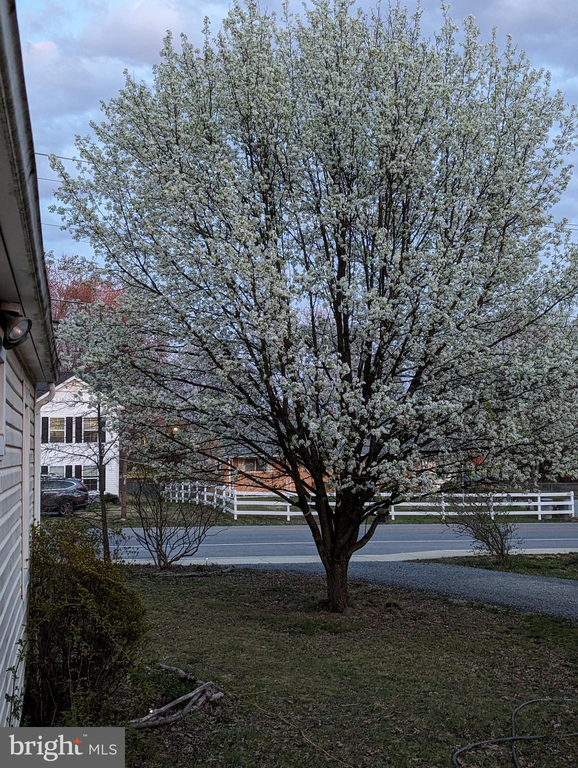 2805 Stavors Road Waldorf, MD 20603 - Photo 36 of 45