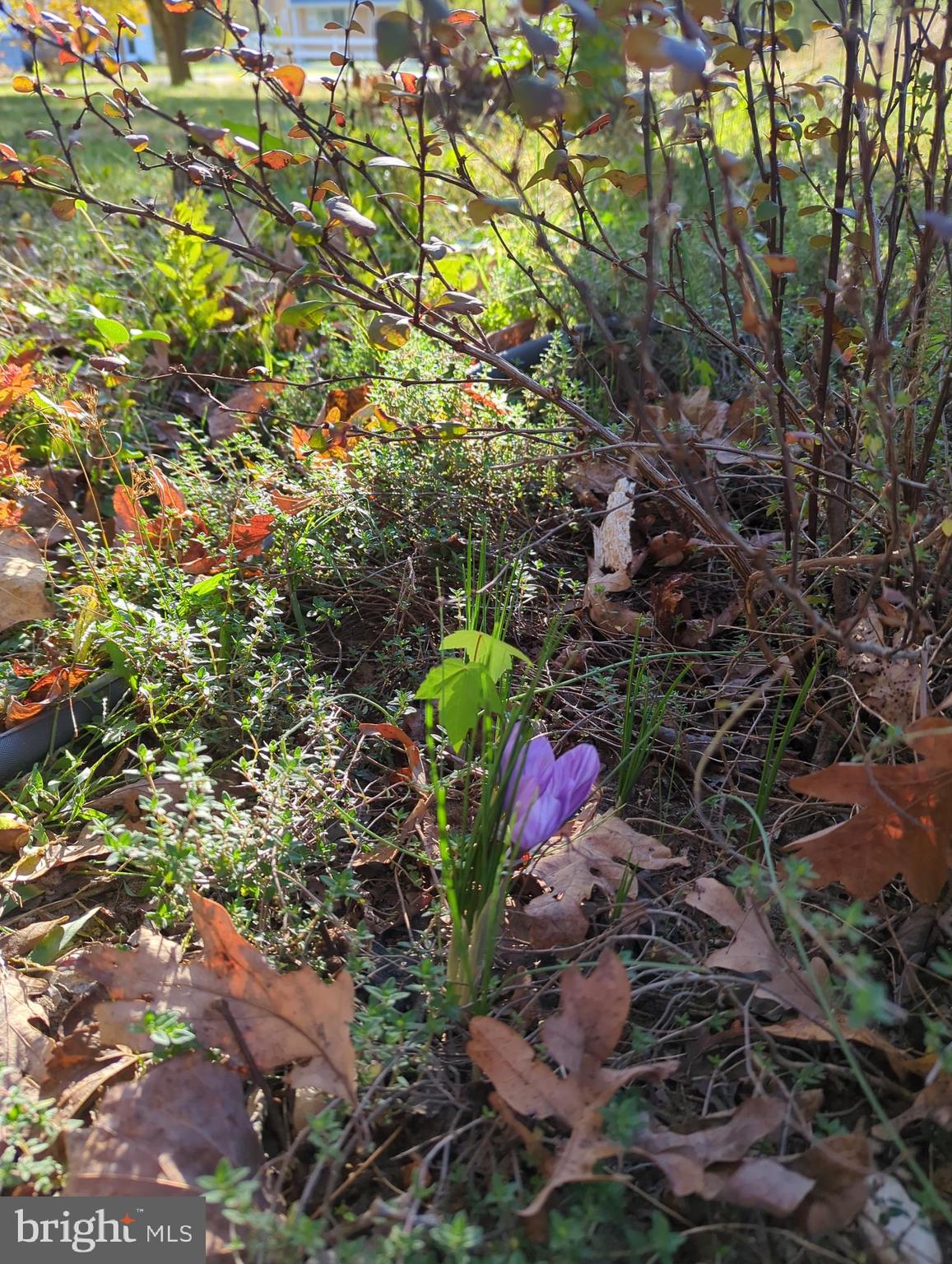 2805 Stavors Road Waldorf, MD 20603 - Photo 39 of 45