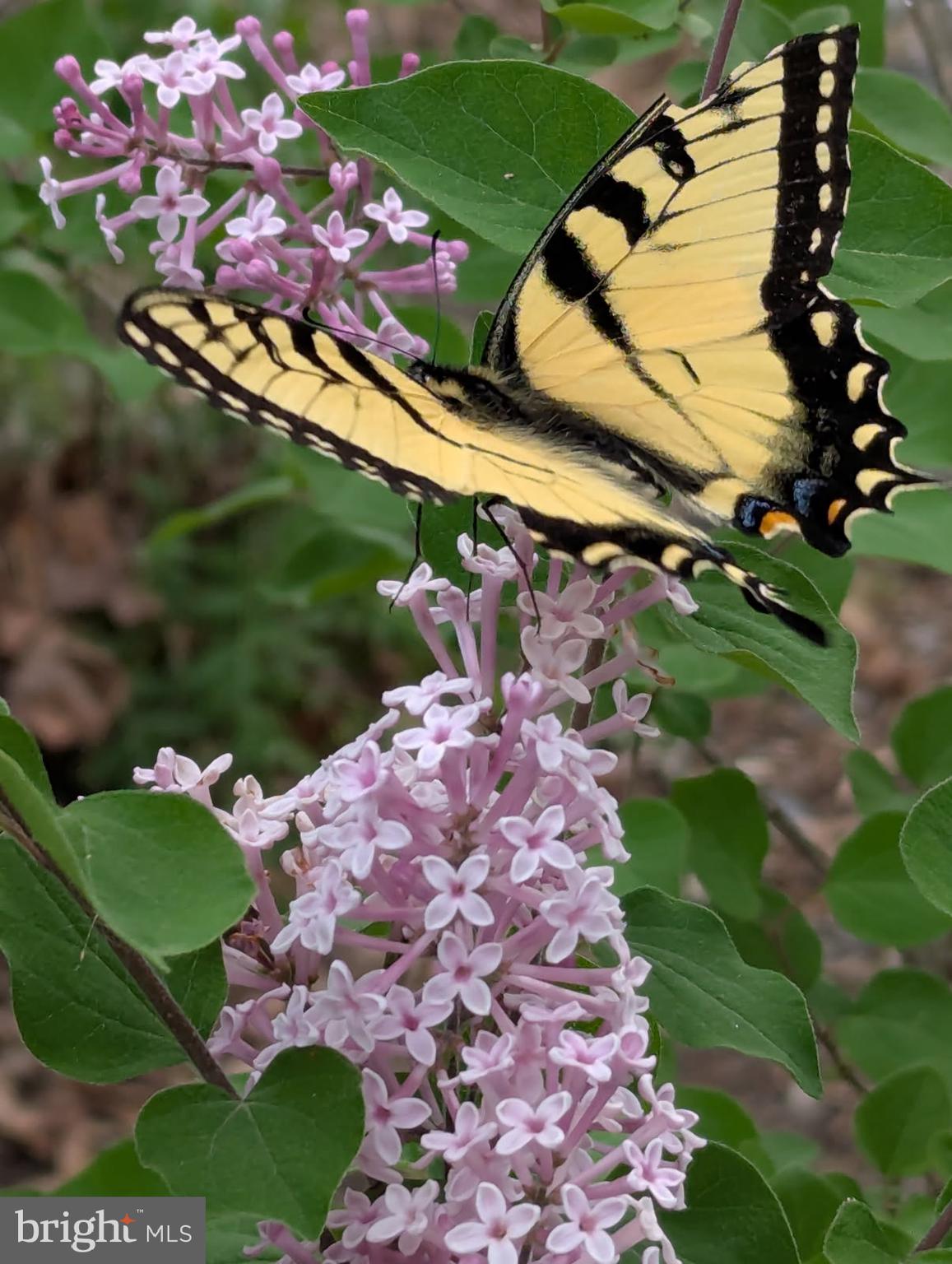 2805 Stavors Road Waldorf, MD 20603 - Photo 40 of 45