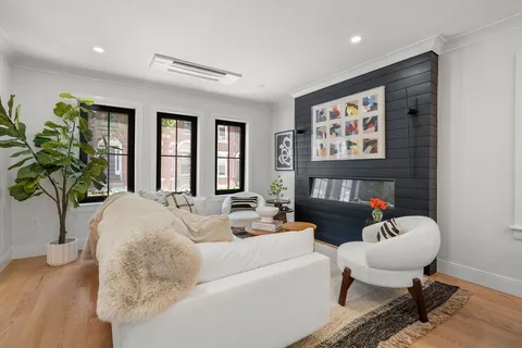 a living room with furniture flowerpot and a rug