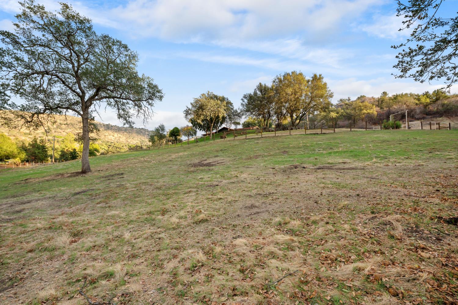 38570 Rustic Lane Squaw Valley, CA 93675 - Photo 37 of 43 a view of field with large trees