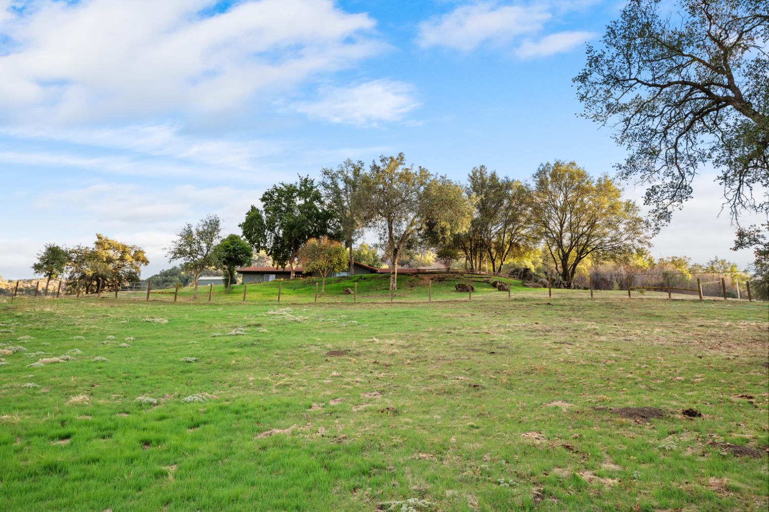 38570 Rustic Lane Squaw Valley, CA 93675 - Photo 38 of 43 a view of a field of grass and trees