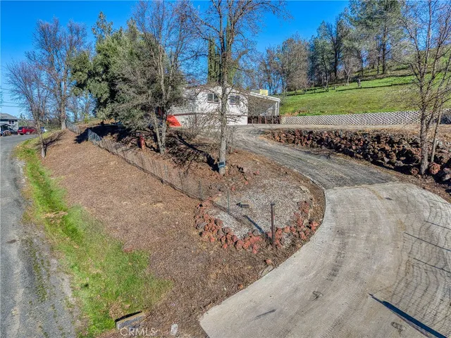 a view of a park with large trees