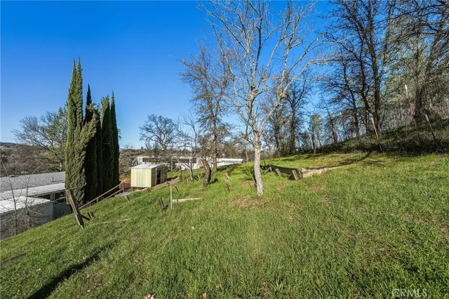 a view of a garden with a building in the background