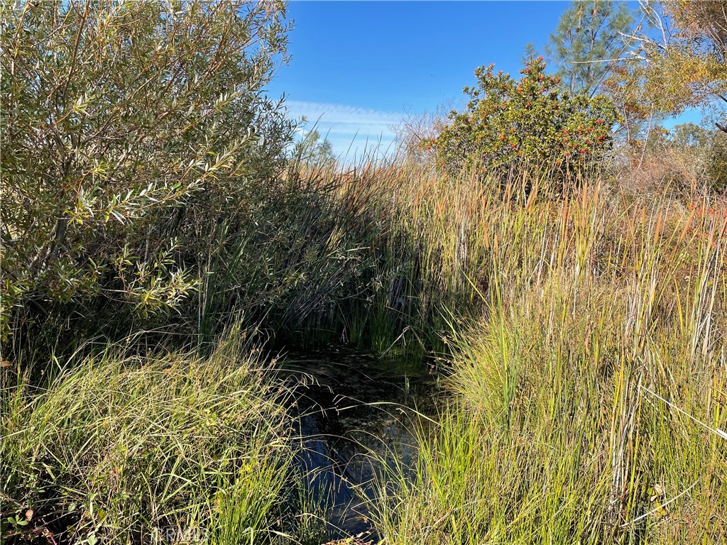 0 Fletcher Road Oroville, CA 95966 - Photo 3 of 18