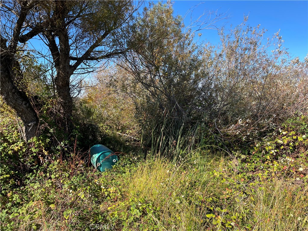 0 Fletcher Road Oroville, CA 95966 - Photo 4 of 18