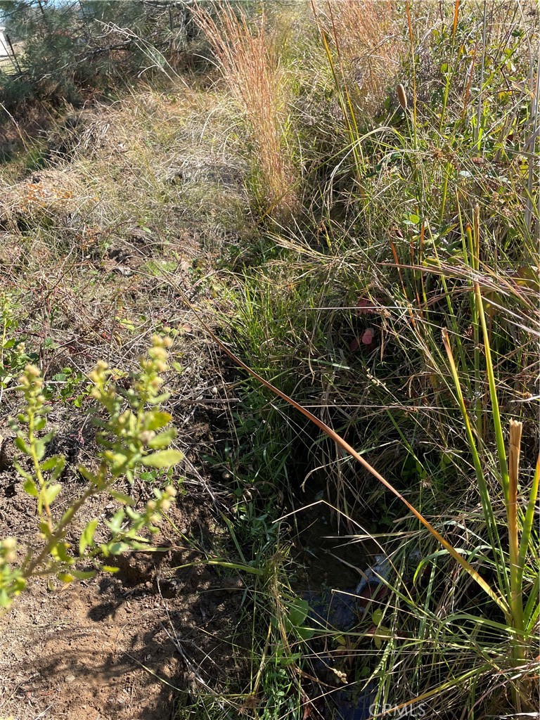 0 Fletcher Road Oroville, CA 95966 - Photo 6 of 18