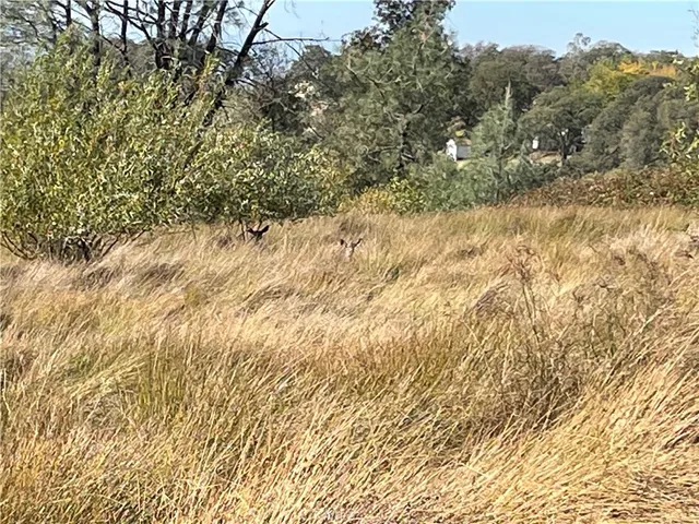 $90,000 | 0 Fletcher Road, Oroville, CA 95966