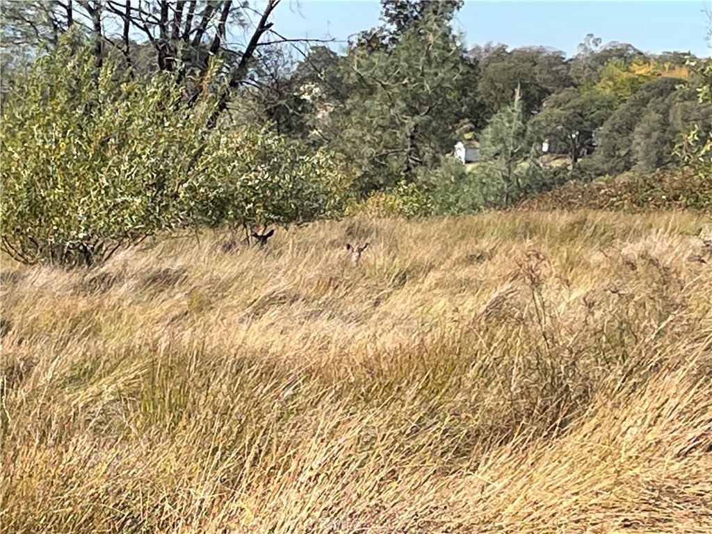 0 Fletcher Road Oroville, CA 95966 - Photo 7 of 18