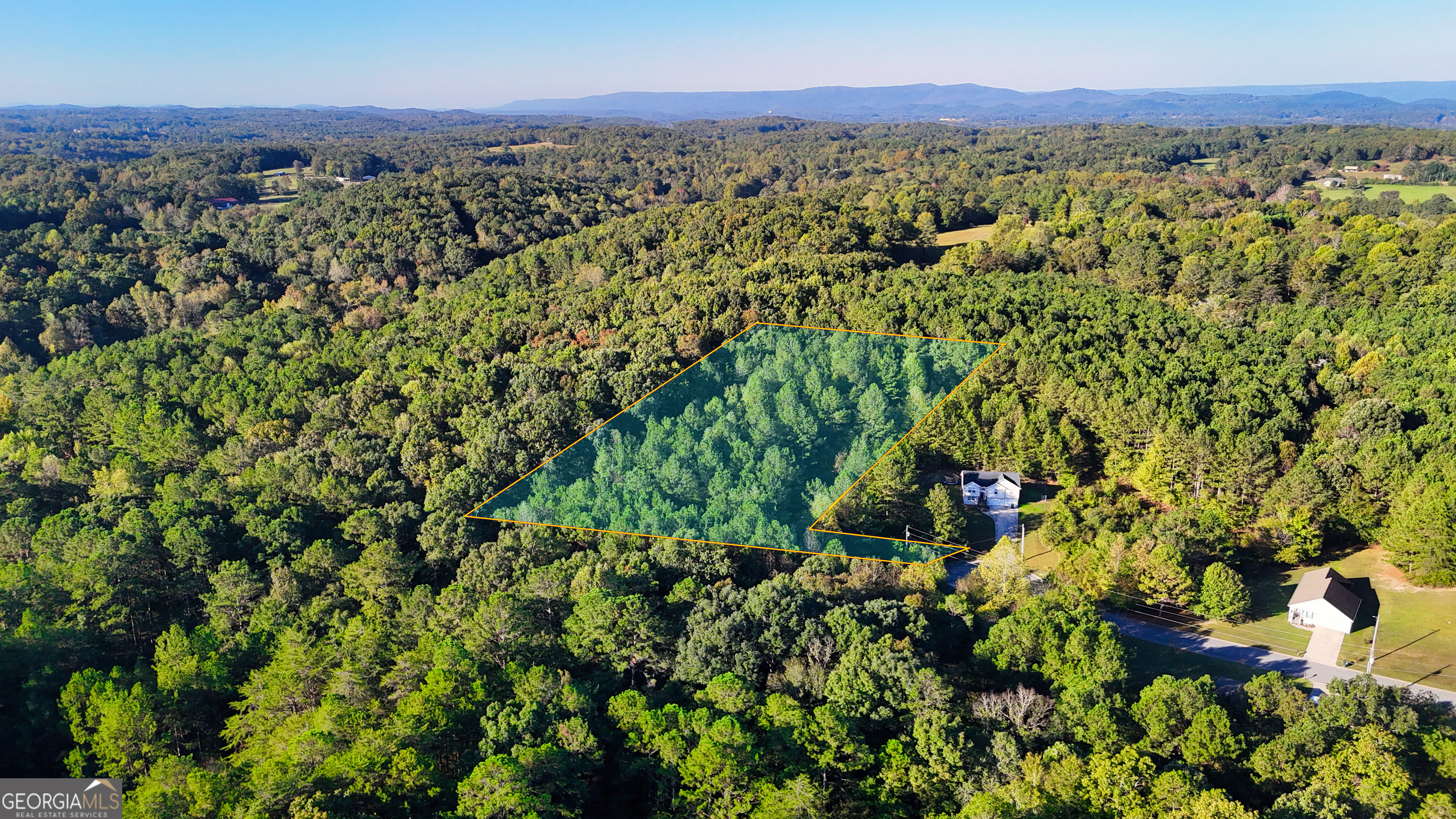 0 Pinewood Drive Rock Spring, GA 30739 - Photo 1 of 1 a view of a lush green field with a tree