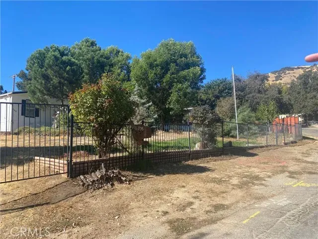 a view of a yard with a tree