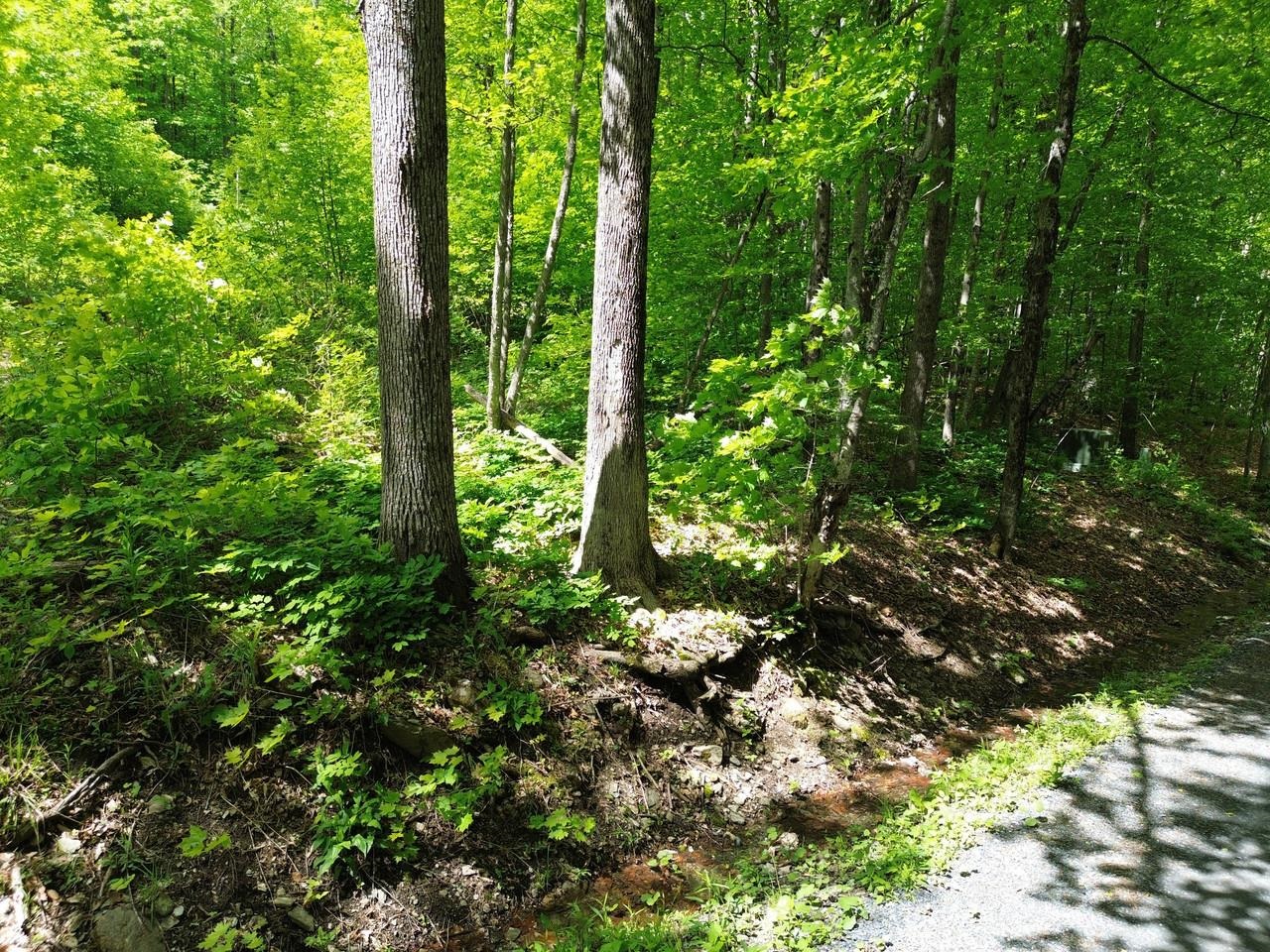 197 Sugar Ledge Road, Unit 4 Warren, VT 05674 - Photo 13 of 17