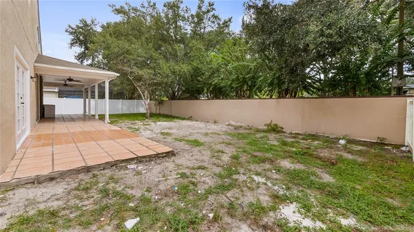 a view of a backyard with plants and a large tree