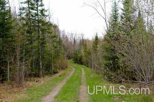 9255 North Deerton Road Deerton, MI 49822 - Photo 32 of 32