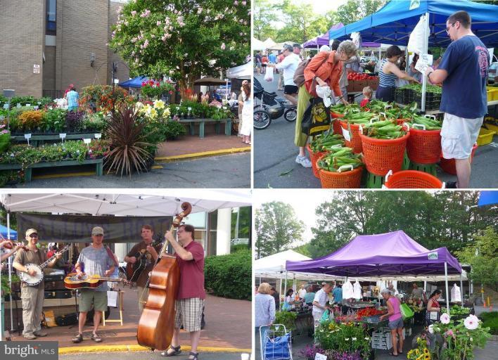1630 Waters Edge Lane Reston, VA 20190 - Photo 28 of 30 Farmer's Market at Lake Anne