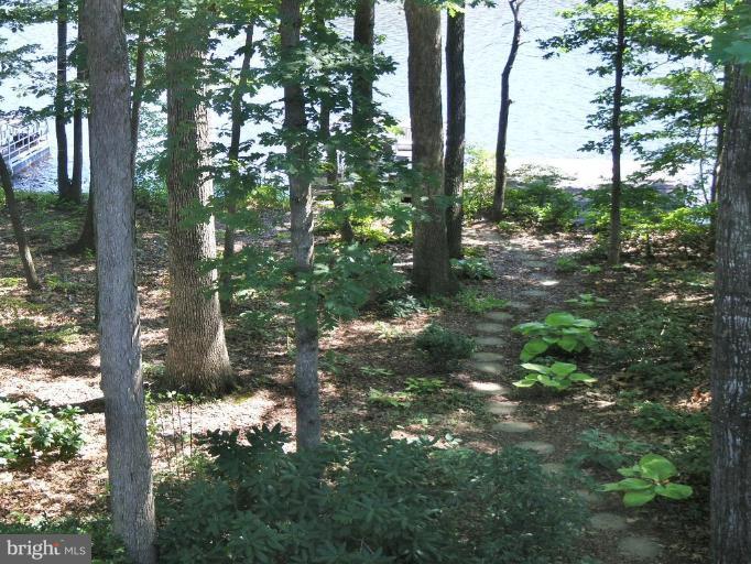 1630 Waters Edge Lane Reston, VA 20190 - Photo 29 of 30 Back yard