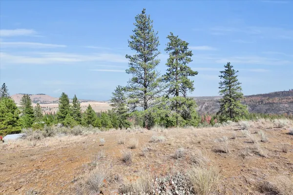 $150,000 | Parcel # Parcel, Davenport, WA 99122