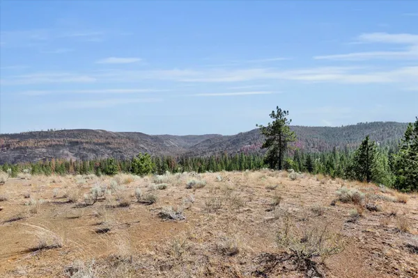 $150,000 | Parcel # Parcel, Davenport, WA 99122