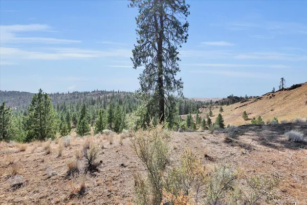 $150,000 | Parcel # Parcel, Davenport, WA 99122