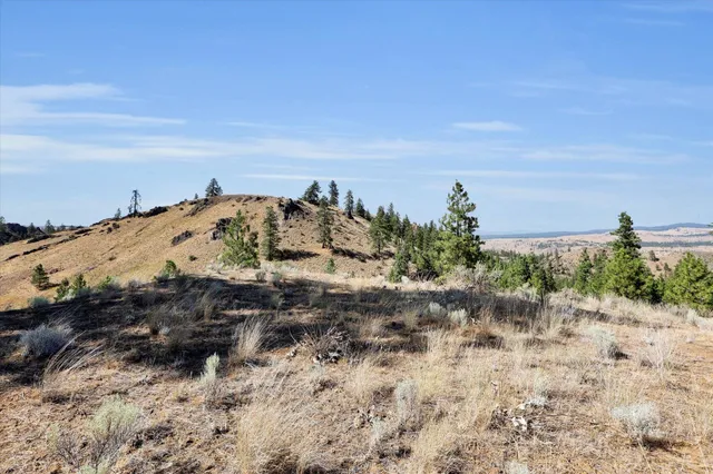 $194,000 | Parcel # Parcel, Davenport, WA 99122
