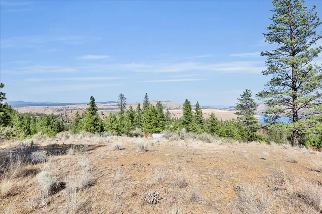 $194,000 | Parcel # Parcel, Davenport, WA 99122