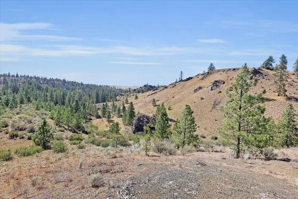 $150,000 | Parcel # Parcel, Davenport, WA 99122