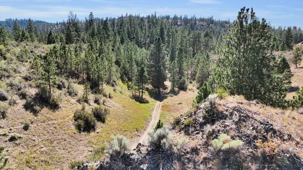 $150,000 | Parcel # Parcel, Davenport, WA 99122