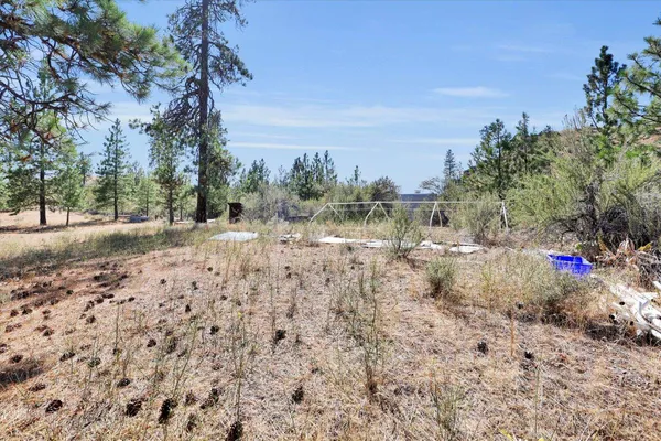 $150,000 | Parcel # Parcel, Davenport, WA 99122