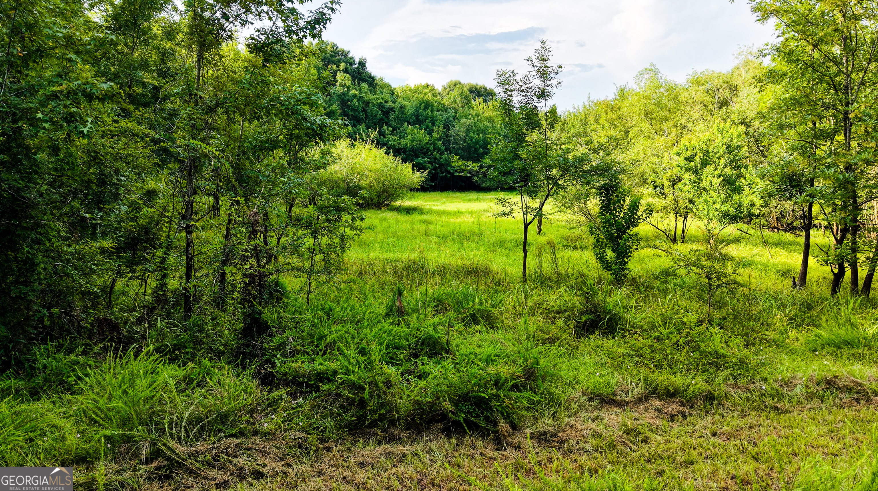 Tbd State Route 26 Road Montezuma, GA 31063 - Photo 23 of 52