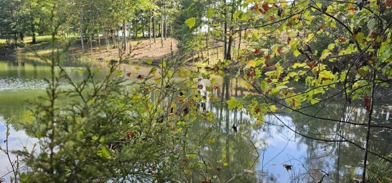 Lot 515 Wilderness Way Dunlap, TN 37327 - Photo 11 of 27 image000005