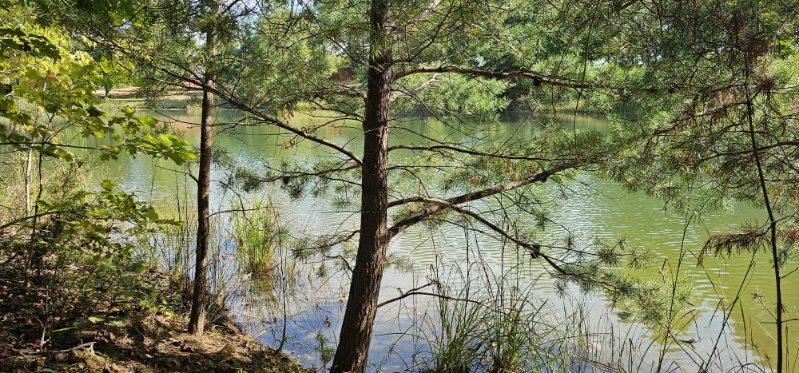 Lot 515 Wilderness Way Dunlap, TN 37327 - Photo 12 of 27 image000006