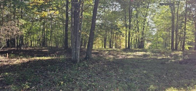 Lot 515 Wilderness Way Dunlap, TN 37327 - Photo 13 of 27 image000006