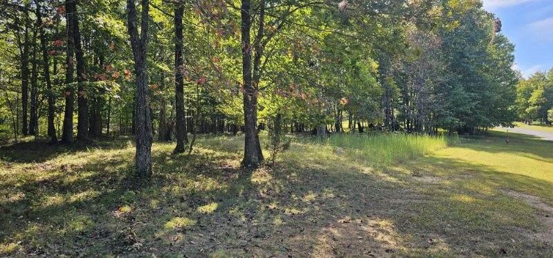 Lot 515 Wilderness Way Dunlap, TN 37327 - Photo 14 of 27 image000007